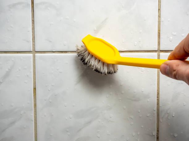 Best Mold Remediation  in Soh Ogden, UT