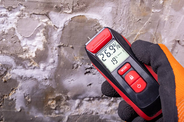 Best Emergency Mold Removal  in Soh Ogden, UT